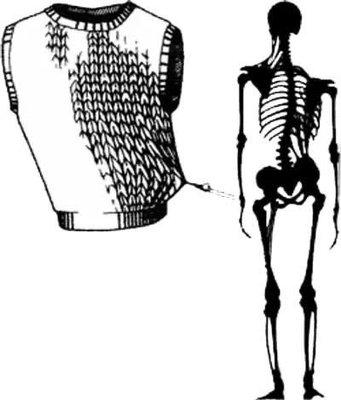 Effects of fascial forces