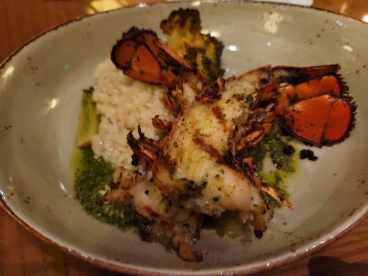 Grilled Lobster Tail prepared with a Watercress Pesto, served with a Truffle Potato Risotto, Baby Fennel, and Tri Color Romanesco