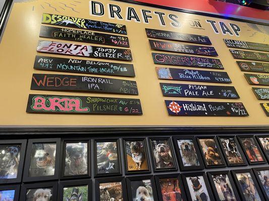 Drafts on tap (and the pups)