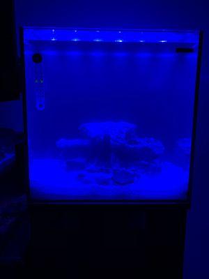 On a blue LED light.