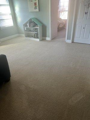 Playroom. Literally looks like new carpet!