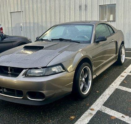 Replaced damaged bumper and upgraded the GT bumper to a Cobra bumper including emblem and LED lights for just a little more. Love it!