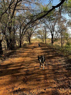 Walking trail