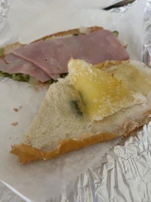 The moldy ham and cheese sandwich