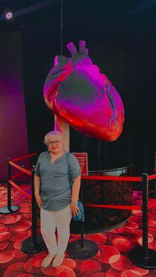 Heart exhibit