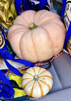 2022 pumpkin haul. Pink Porcelain pumpkin and decorative squash.