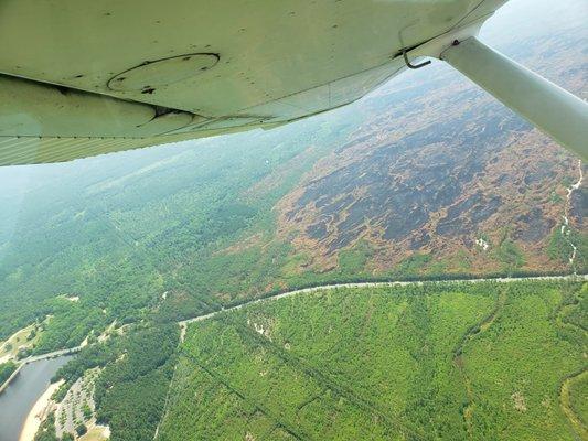 Picture i took of burned out area of forest fire in Wharton State Park. I was flying one of freeflights club planes which are easy to rent