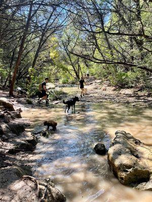 River and honking trail