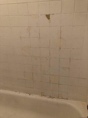 Bathroom wall paint pealing off