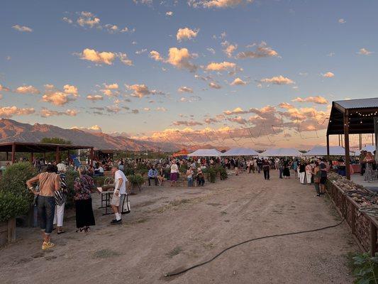 Tucson Village Farm