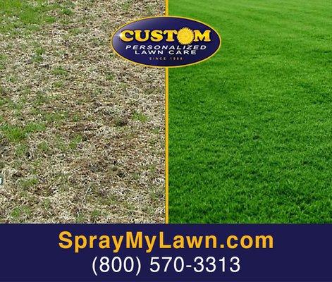 Before & After GrubPro | Custom Personalized Lawn Care