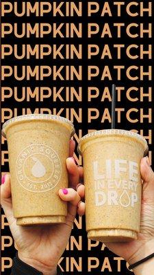 Pumpkin Patch Smoothie