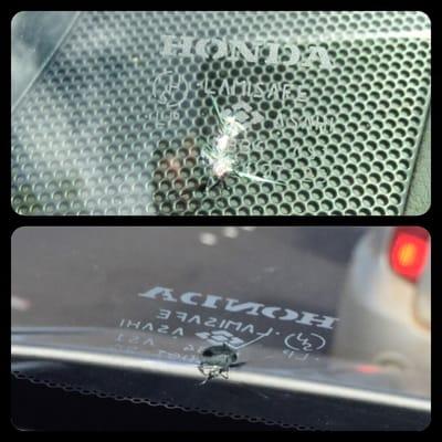 Ace Auto Glass