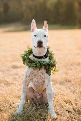 Jackson Hole Wedding