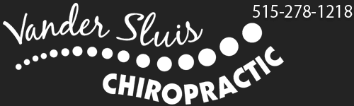 Vander Sluis Chiropractic