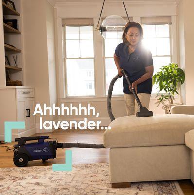 We vacuum the furniture and finish all our cleanings with a lavander smell...