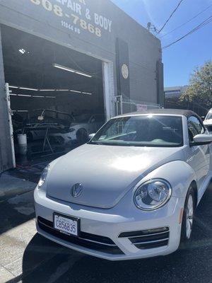 Volkswagen Beetle