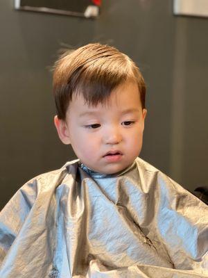 Toddler boy's haircut