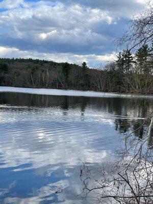 Wildlife in Hager Pond behind Wayside Country Store  Part Country Store from 1790 part Old Time Candy Shop  in Marlborough MA.