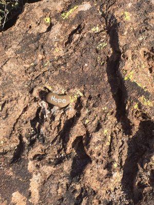 Fun hike!  Neat that someone placed this rock on the trail.