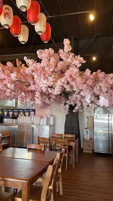 Cherry Blossom tree