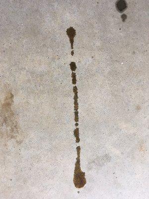 Oil leak in garage after moving vehicle.