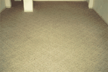 Carpet After