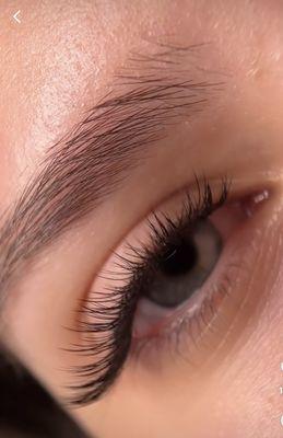 Lovely Lashes