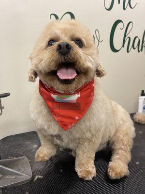 Big smiles after his cut!