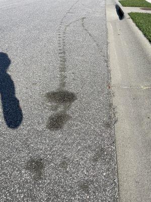 Oil leak from my car