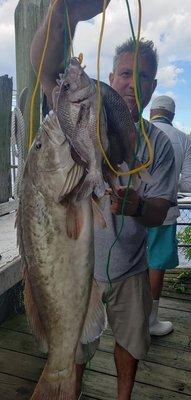 Just a portion of our catch. Dave slayed it.  Grouper for days.