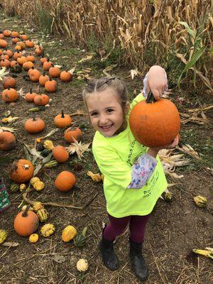 Field trip time.  Pumpkin Patch