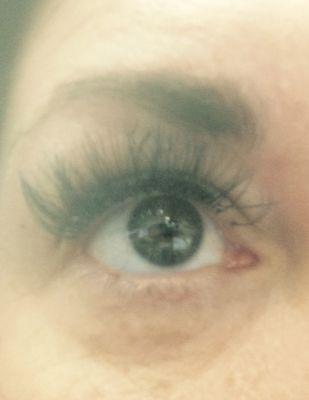 Nails Plus Spa's Lash Extensions.  Perfection.