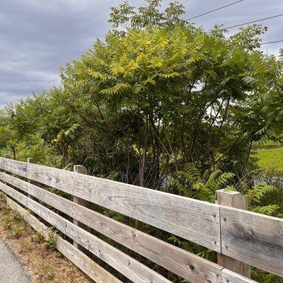 Grassy Creek Park