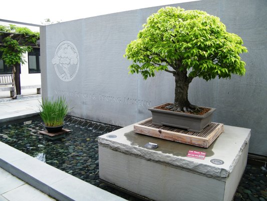 Entrance to the National Bonsai & Penjing Museum in 2011