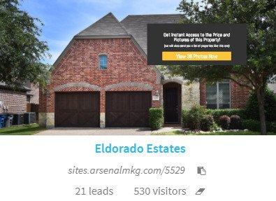 My marketing brought in 21 leads and 530 visitors. One of those 21 leads purchased the home