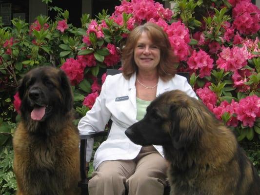 Dr. Michele A. Nugent and her Leonbergers, Kiya and Lady Bear