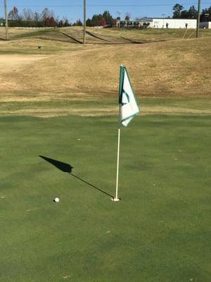 I came this close to a hole-in-one on Hole No. 2.