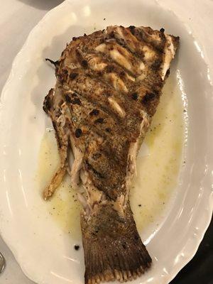 Greek Grouper