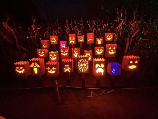 Pumpkin bags at the start of the trail