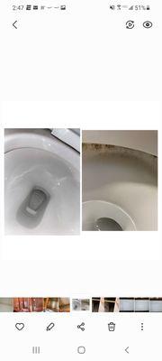 The toilet bowl after they came the first time to actually cleaning it the second time.