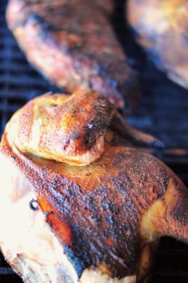 Chicken and tri-tip fresh off the grill