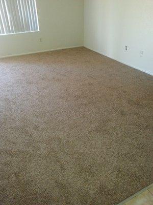 bedroom carpet options