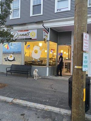 Jasper is ready for his breakfast! Dianna's at Main St. TILTON NH opens early - just like the Good Old Days.