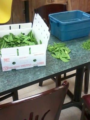 The "Prep Station" located in the front of the "Drink Section" At least we know its fresh snow peas.