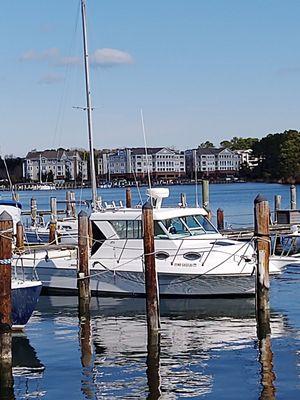 Oyster Bay viewed from Solomons island