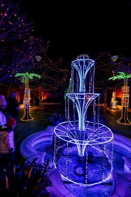 River of Lights at ABQ BioPark & Botanic Garden - Albuquerque, NM