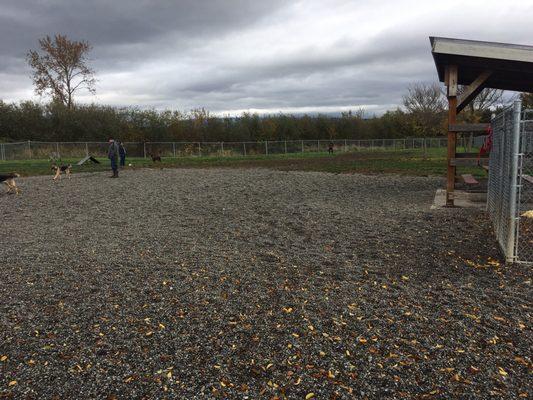 Dog Park with a covered seating area (right of pic).