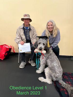 Zara's graduation day from Wags & Wiggles...training facility floor shown.  Large room with moveable dividers