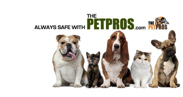 Always safe with THE PET PROS